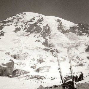 Meet your Posher, Steve